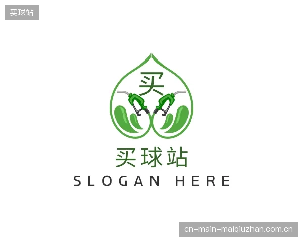 认识买球站官方
